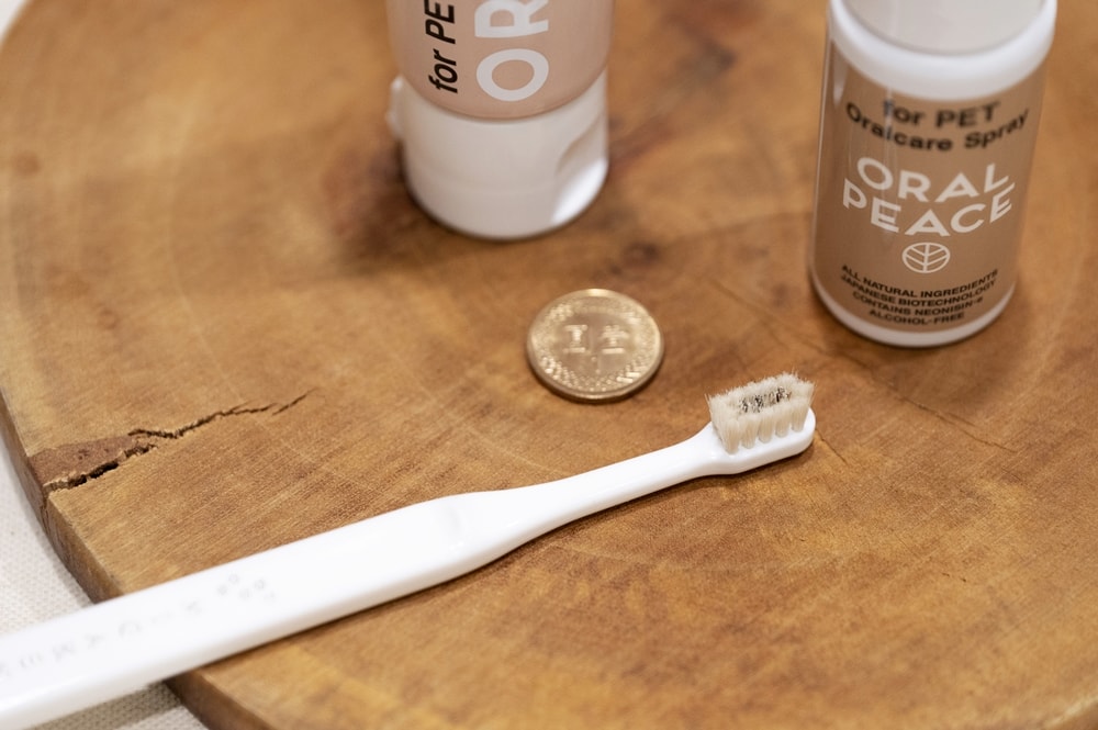 《MIGAKENDE敏齒樂XORALPEACE口樂平》開箱分享-狗狗無痛刷牙的好朋友 - 第2張圖