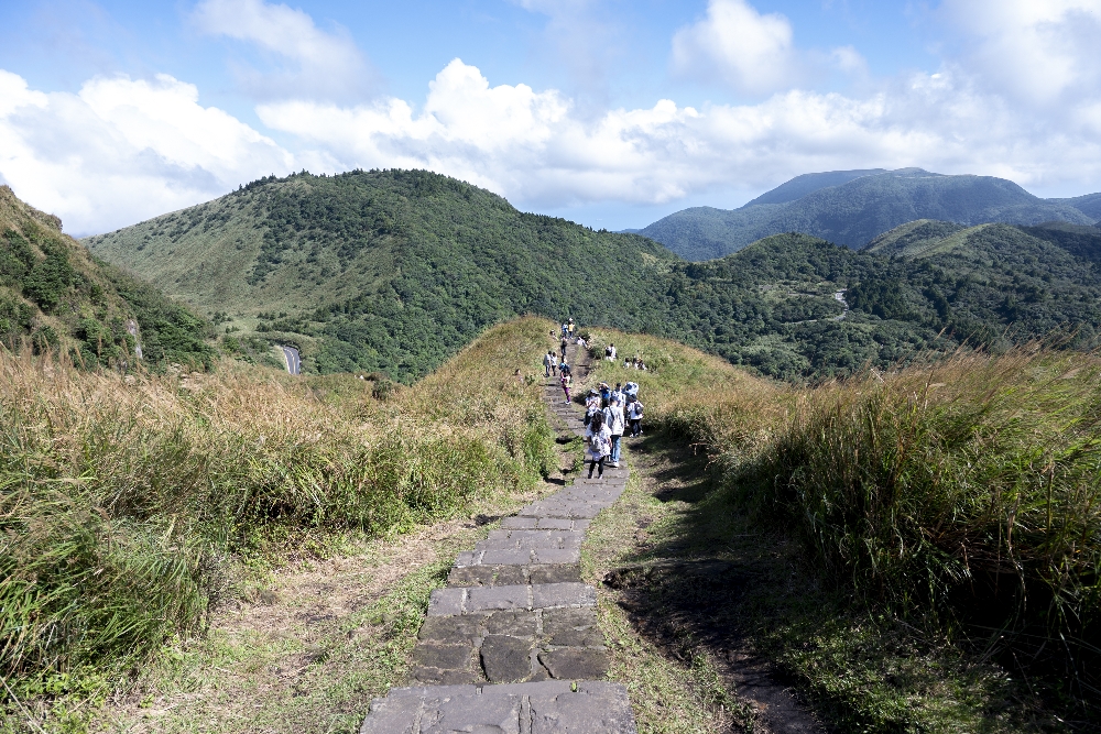 台北【冷水坑】陽明山最美的季節來了!錯過再等一年!冷水坑芒草季必走路線 - 第10張圖 冷水坑芒草