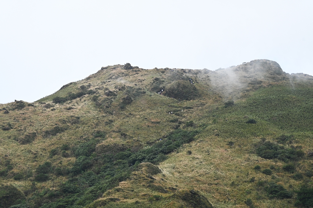 台北【冷水坑】陽明山最美的季節來了!錯過再等一年!冷水坑芒草季必走路線 - 第19張圖