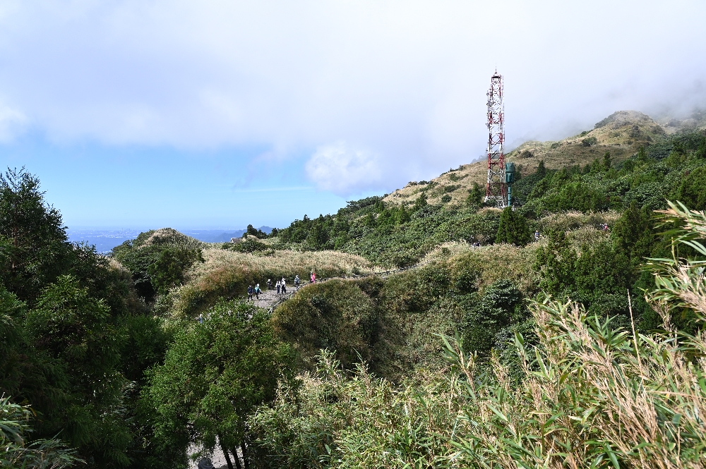 台北【冷水坑】陽明山最美的季節來了!錯過再等一年!冷水坑芒草季必走路線 - 第17張圖
