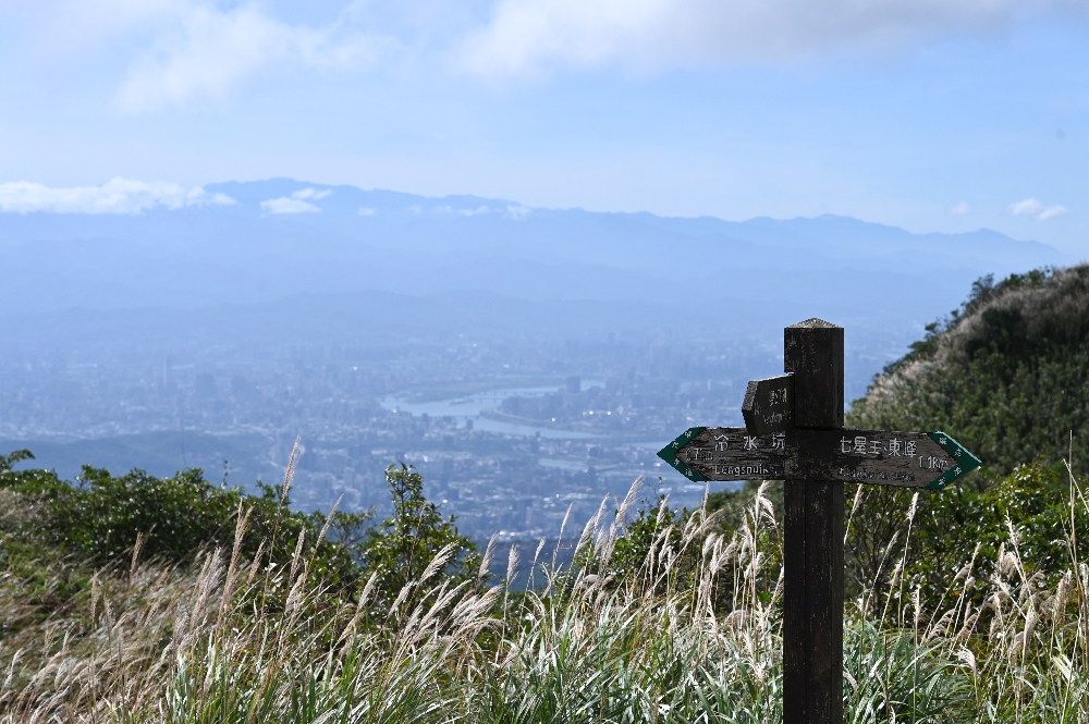 台北【冷水坑】陽明山最美的季節來了!錯過再等一年!冷水坑芒草季必走路線 - 第18張圖 冷水坑芒草