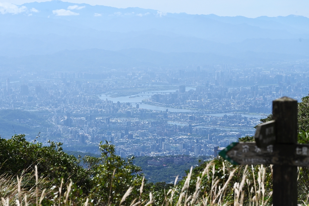 台北【冷水坑】陽明山最美的季節來了!錯過再等一年!冷水坑芒草季必走路線 - 第35張圖 冷水坑芒草