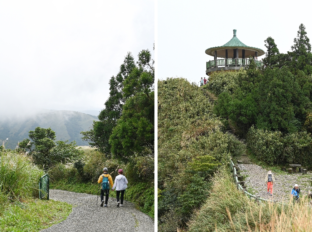 台北【冷水坑】陽明山最美的季節來了!錯過再等一年!冷水坑芒草季必走路線 - 第20張圖