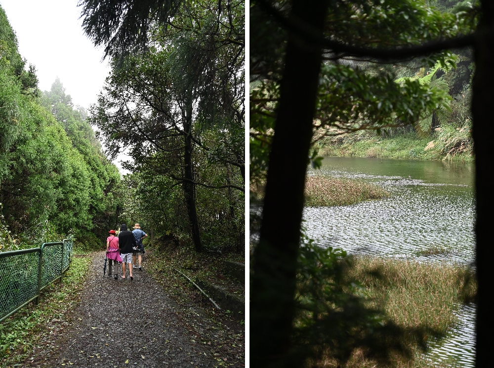 台北【冷水坑】陽明山最美的季節來了!錯過再等一年!冷水坑芒草季必走路線 - 第22張圖