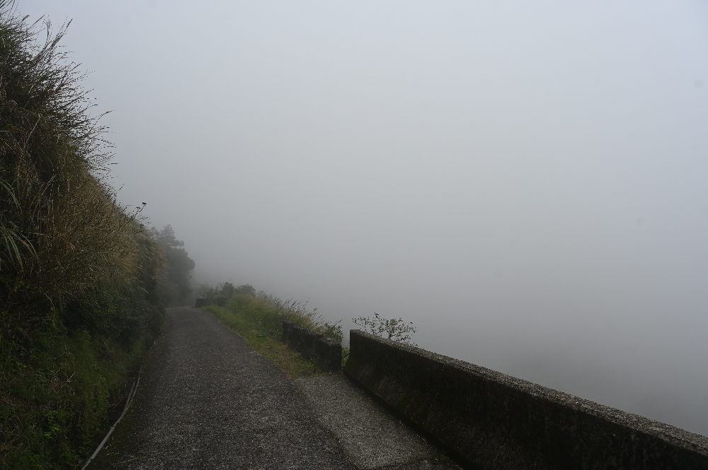 台北【冷水坑】陽明山最美的季節來了!錯過再等一年!冷水坑芒草季必走路線 - 第23張圖