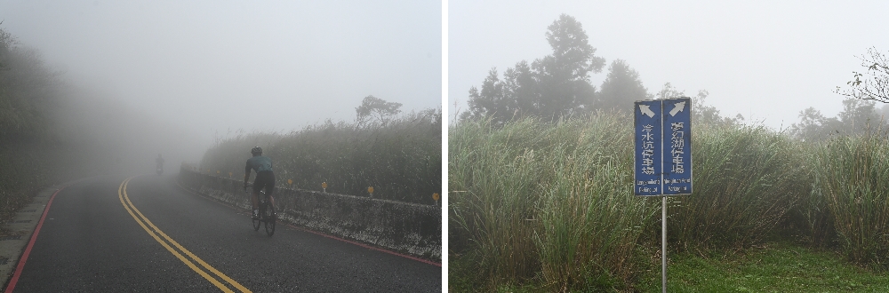 台北【冷水坑】陽明山最美的季節來了!錯過再等一年!冷水坑芒草季必走路線 - 第24張圖
