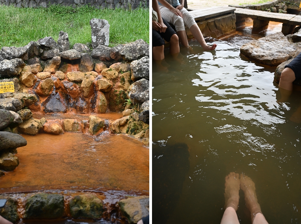 台北【冷水坑】陽明山最美的季節來了!錯過再等一年!冷水坑芒草季必走路線 - 第28張圖