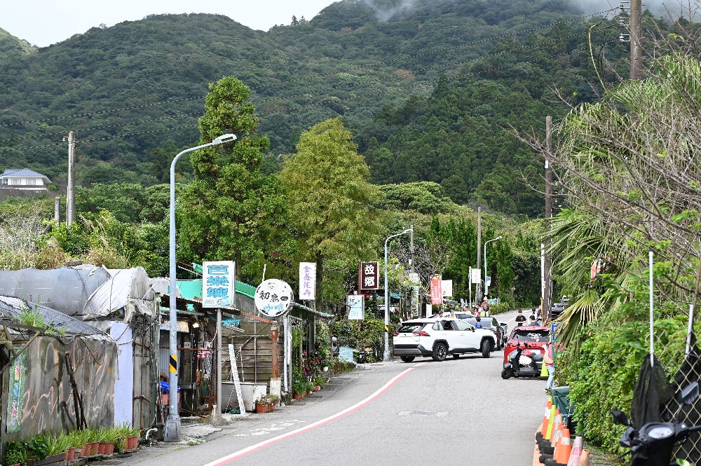 台北【冷水坑】陽明山最美的季節來了!錯過再等一年!冷水坑芒草季必走路線 - 第31張圖
