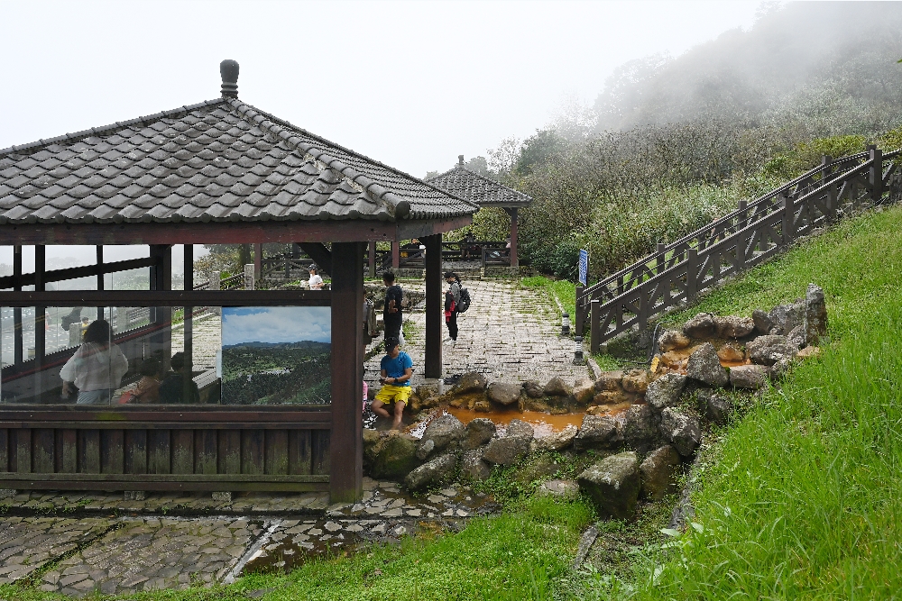 台北【冷水坑】陽明山最美的季節來了!錯過再等一年!冷水坑芒草季必走路線 - 第27張圖