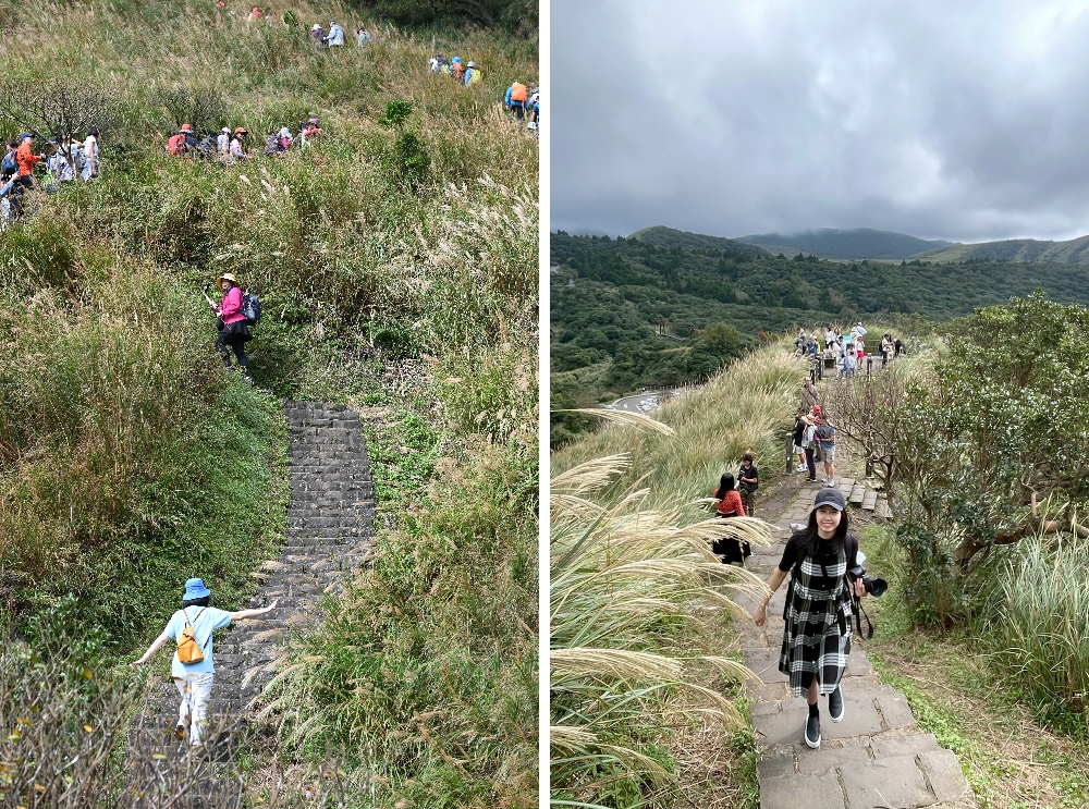 台北【冷水坑】陽明山最美的季節來了!錯過再等一年!冷水坑芒草季必走路線 - 第5張圖