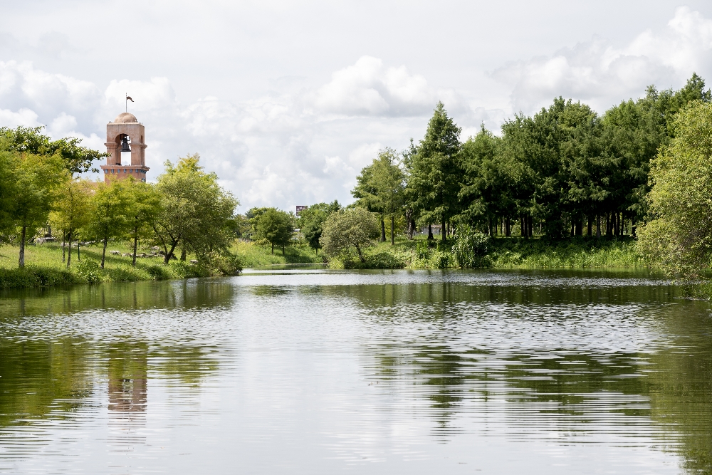 花蓮【理想PAARK水岸生活】花蓮星巴克的水上秘境,展開一段20分鐘夢幻遊湖 - 第10張圖 理想PAARK水岸生活