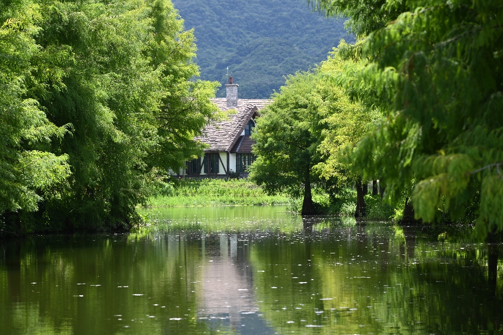 花蓮【理想PAARK水岸生活】花蓮星巴克的水上秘境,展開一段20分鐘夢幻遊湖 - 第22張圖 理想PAARK水岸生活
