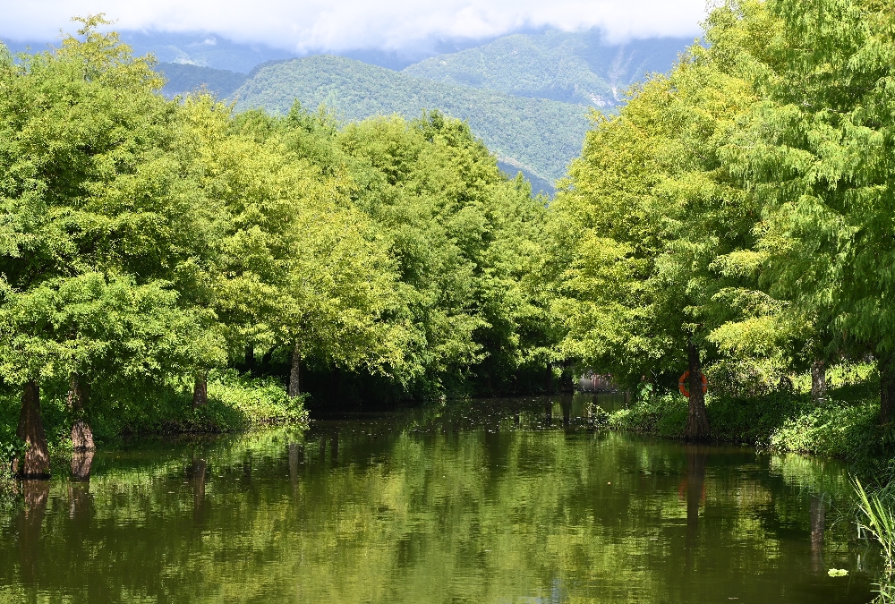 花蓮【理想PAARK水岸生活】花蓮星巴克的水上秘境,展開一段20分鐘夢幻遊湖 - 第9張圖 花蓮【理想PAARK水岸生活】花蓮星巴克的水上秘境,展開一段20分鐘夢幻遊湖
