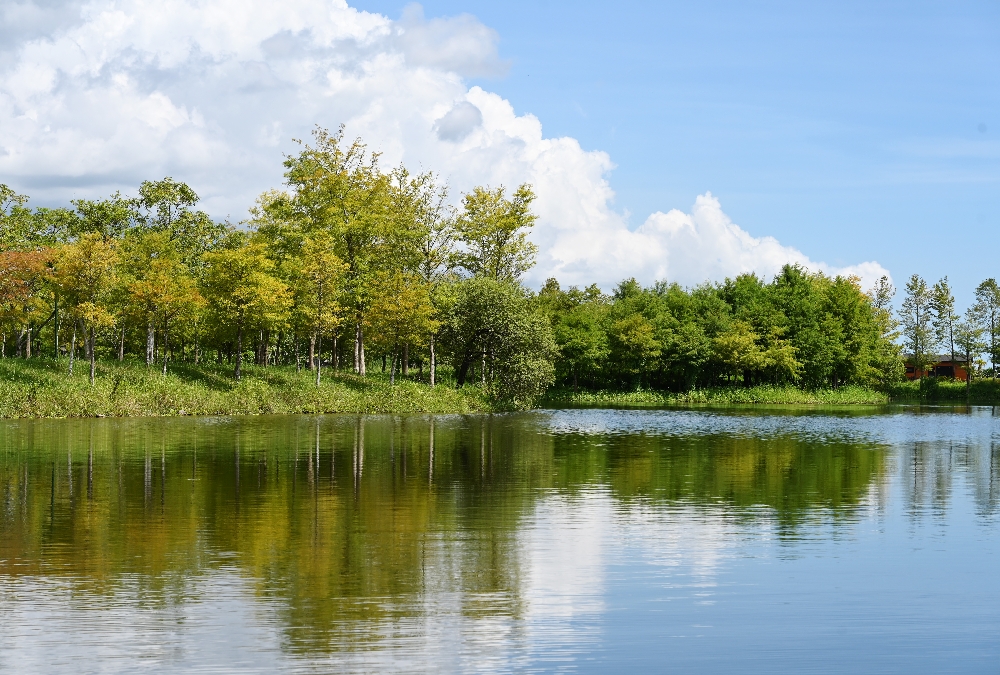 花蓮【理想PAARK水岸生活】花蓮星巴克的水上秘境,展開一段20分鐘夢幻遊湖 - 第19張圖 花蓮【理想PAARK水岸生活】花蓮星巴克的水上秘境,展開一段20分鐘夢幻遊湖