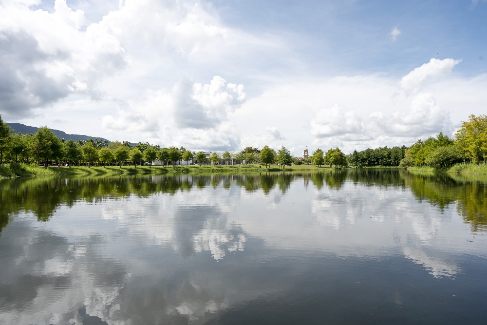 花蓮【理想PAARK水岸生活】花蓮星巴克的水上秘境,展開一段20分鐘夢幻遊湖 - 第8張圖 理想PAARK水岸生活