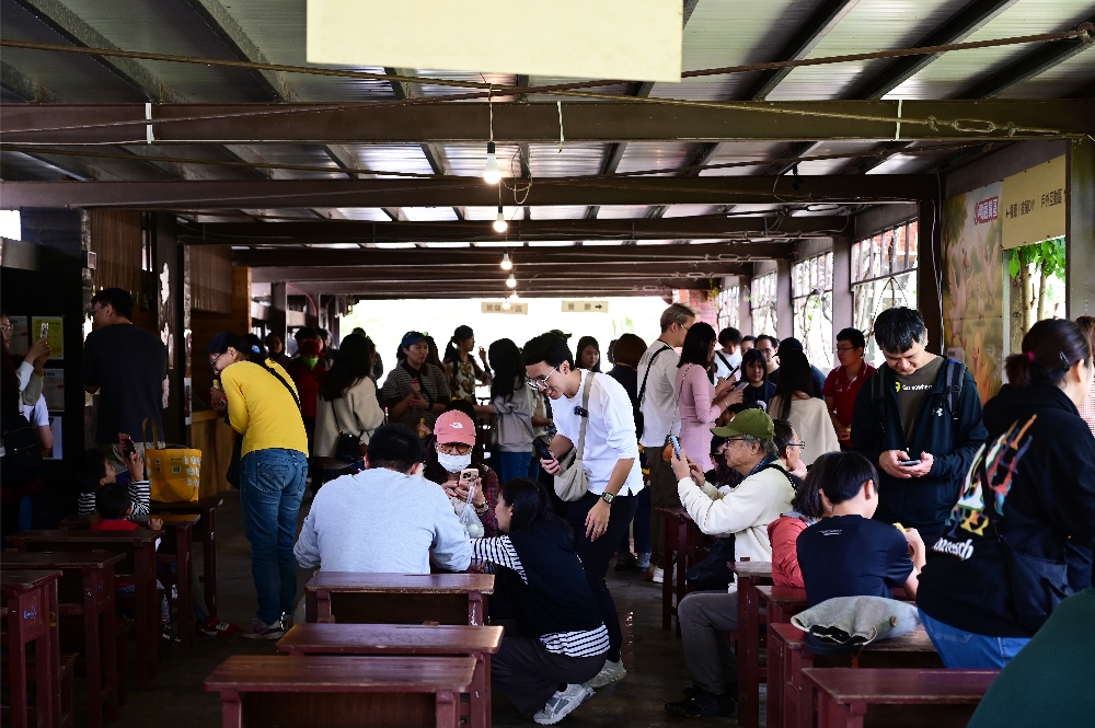 宜蘭【謝記休閒農場－鴨寮故事館】餵鴨子、摸小鴨、撿鴨蛋、做鹹蛋一次滿足