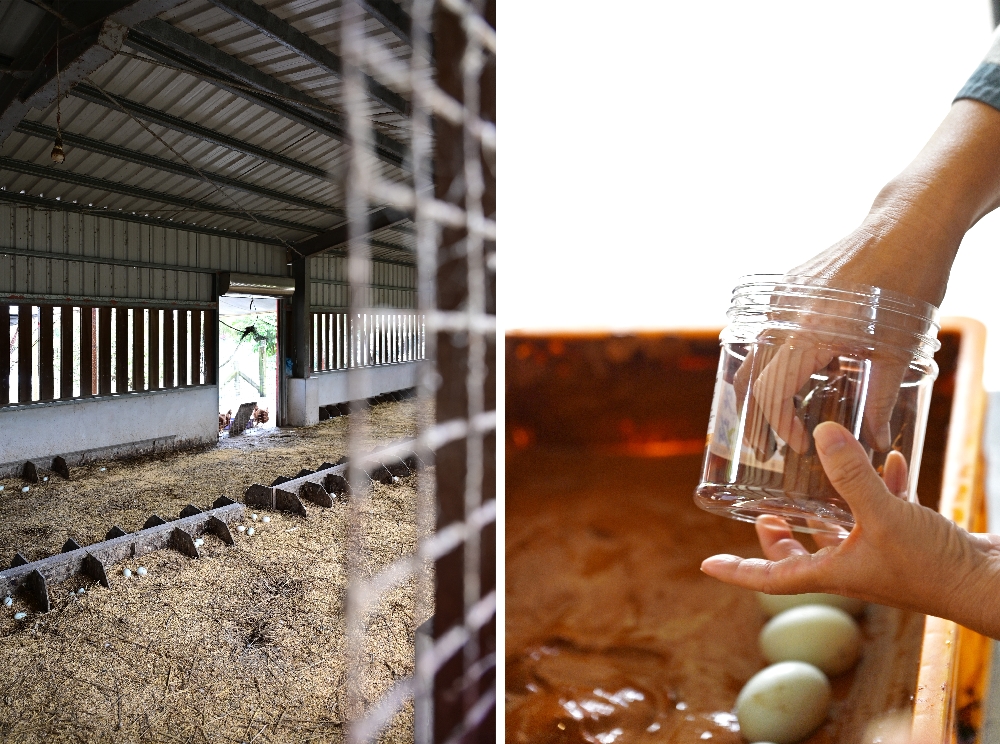 謝記休閒農場－鴨寮故事館