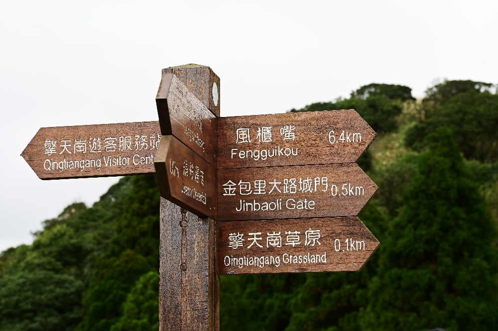 台北陽明山【擎天崗】新手也能輕鬆走的冷擎步道:沿途必拍景點、太陽谷大草原與水牛芒草一次收齊 - 第28張圖 台北陽明山【擎天崗】新手也能輕鬆走的冷擎步道:沿途必拍景點、太陽谷大草原與水牛芒草一次收齊