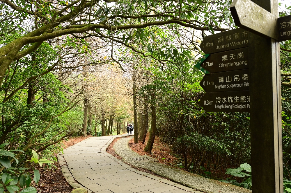 台北陽明山【擎天崗】新手也能輕鬆走的冷擎步道:沿途必拍景點、太陽谷大草原與水牛芒草一次收齊 - 第3張圖 台北陽明山【擎天崗】新手也能輕鬆走的冷擎步道:沿途必拍景點、太陽谷大草原與水牛芒草一次收齊