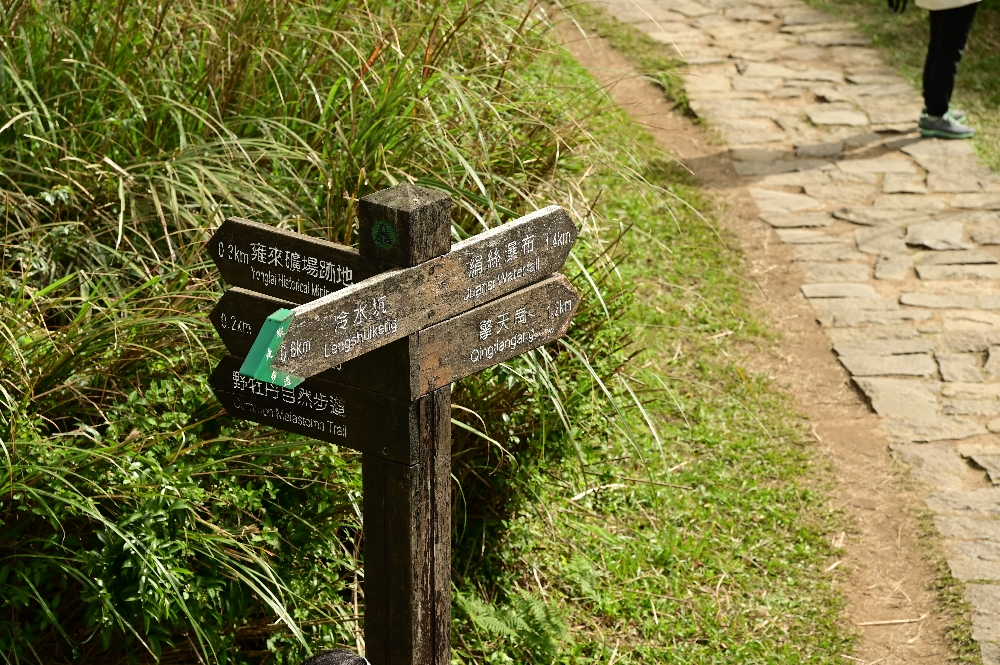 台北陽明山【擎天崗】新手也能輕鬆走的冷擎步道:沿途必拍景點、太陽谷大草原與水牛芒草一次收齊 - 第12張圖 台北陽明山【擎天崗】新手也能輕鬆走的冷擎步道:沿途必拍景點、太陽谷大草原與水牛芒草一次收齊