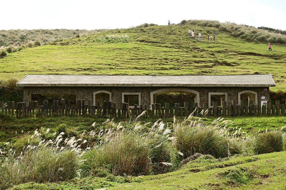 台北陽明山【擎天崗】新手也能輕鬆走的冷擎步道:沿途必拍景點、太陽谷大草原與水牛芒草一次收齊 - 第25張圖 擎天崗
