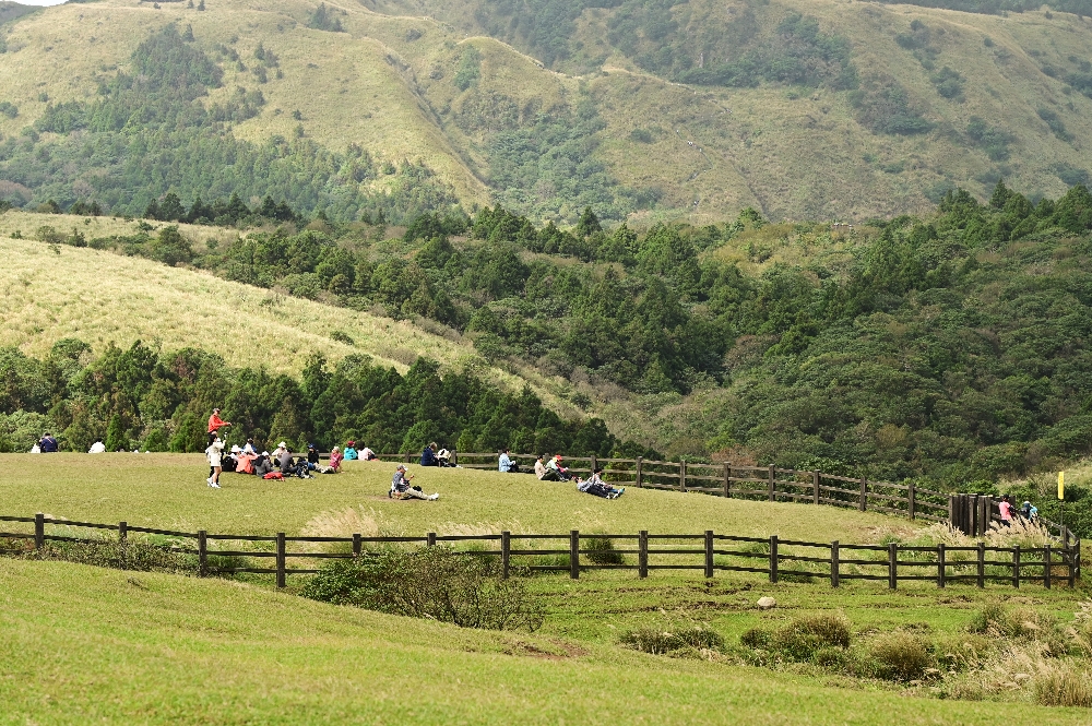 台北陽明山【擎天崗】新手也能輕鬆走的冷擎步道:沿途必拍景點、太陽谷大草原與水牛芒草一次收齊 - 第18張圖 擎天崗