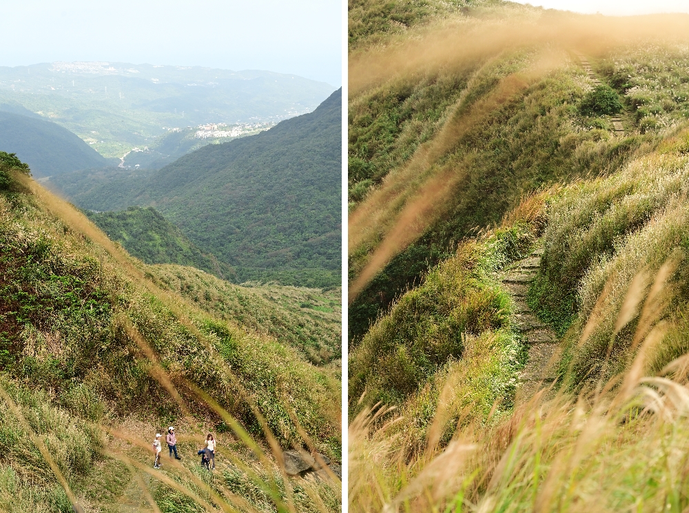 台北陽明山【擎天崗】新手也能輕鬆走的冷擎步道:沿途必拍景點、太陽谷大草原與水牛芒草一次收齊 - 第30張圖 擎天崗