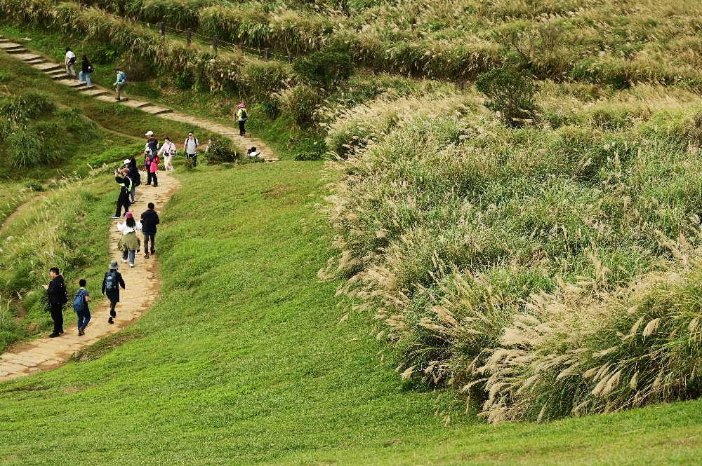 台北陽明山【擎天崗】新手也能輕鬆走的冷擎步道:沿途必拍景點、太陽谷大草原與水牛芒草一次收齊 - 第32張圖 台北陽明山【擎天崗】新手也能輕鬆走的冷擎步道:沿途必拍景點、太陽谷大草原與水牛芒草一次收齊
