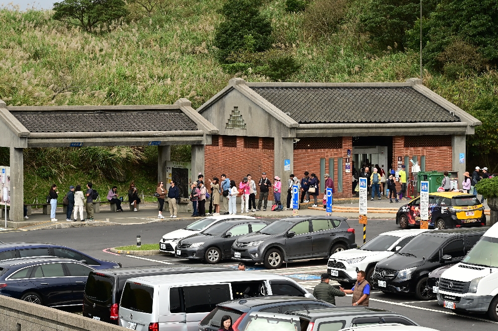 台北陽明山【擎天崗】新手也能輕鬆走的冷擎步道:沿途必拍景點、太陽谷大草原與水牛芒草一次收齊 - 第33張圖 擎天崗