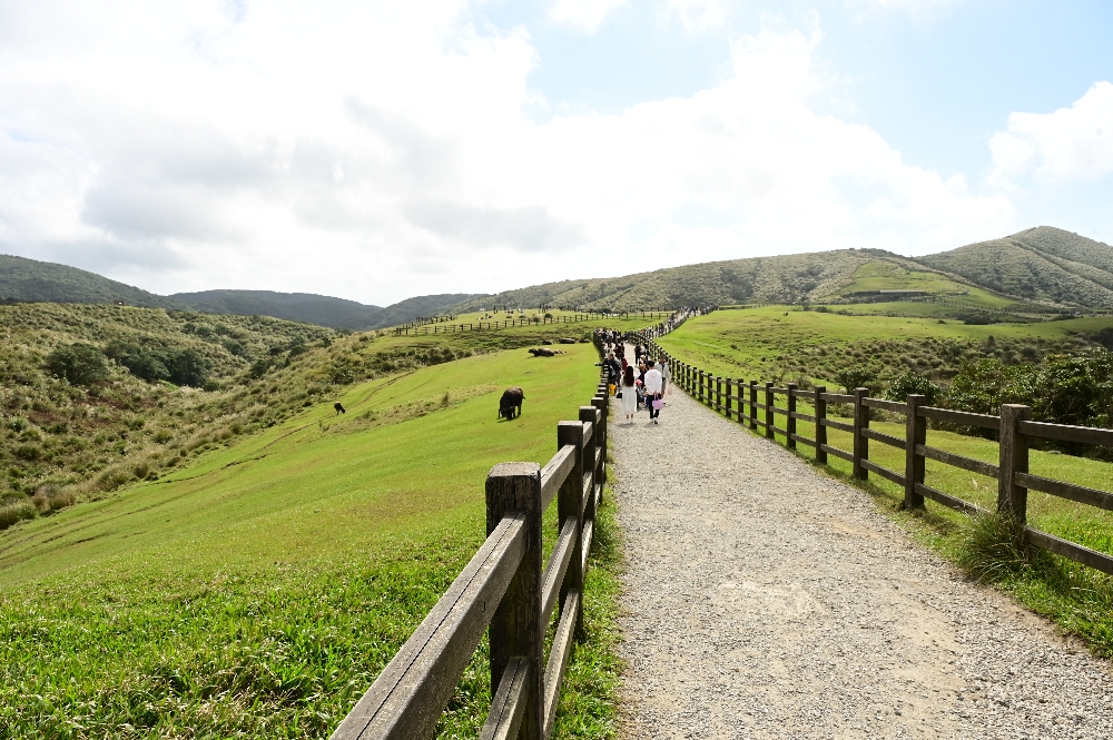 台北陽明山【擎天崗】新手也能輕鬆走的冷擎步道:沿途必拍景點、太陽谷大草原與水牛芒草一次收齊 - 第20張圖 台北陽明山【擎天崗】新手也能輕鬆走的冷擎步道:沿途必拍景點、太陽谷大草原與水牛芒草一次收齊