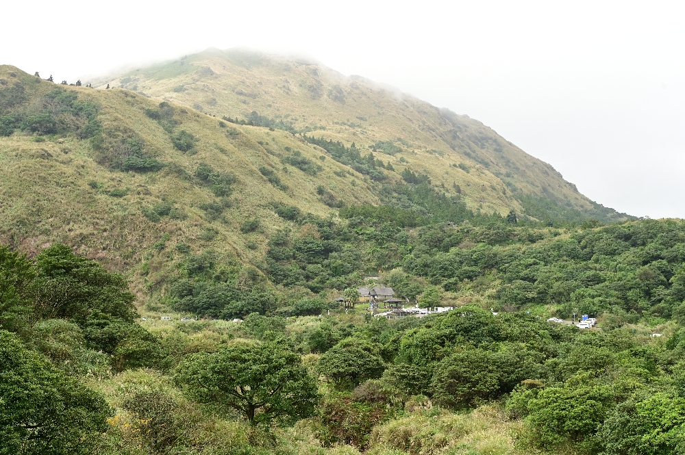 台北陽明山【擎天崗】新手也能輕鬆走的冷擎步道:沿途必拍景點、太陽谷大草原與水牛芒草一次收齊 - 第7張圖 台北陽明山【擎天崗】新手也能輕鬆走的冷擎步道:沿途必拍景點、太陽谷大草原與水牛芒草一次收齊