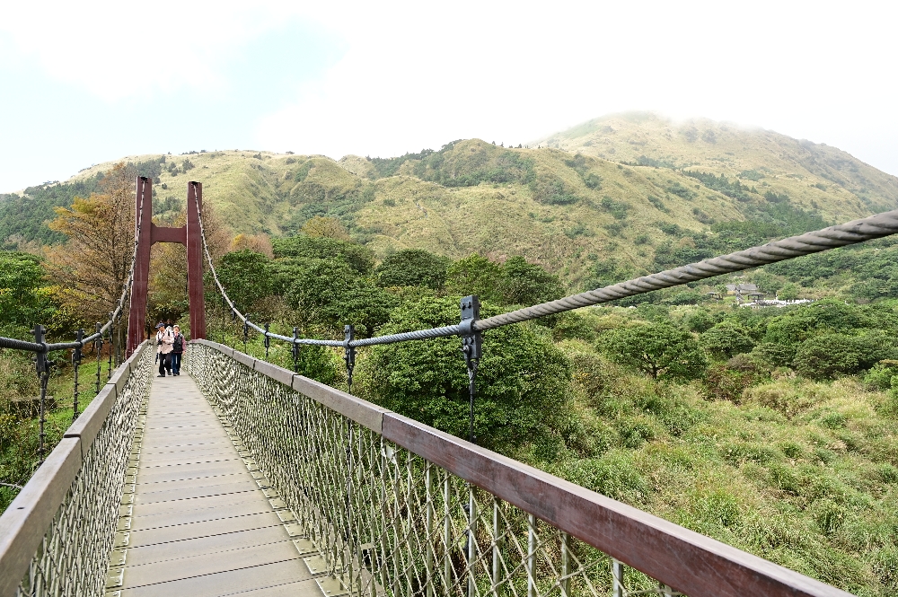 台北陽明山【擎天崗】新手也能輕鬆走的冷擎步道:沿途必拍景點、太陽谷大草原與水牛芒草一次收齊 - 第6張圖 台北陽明山【擎天崗】新手也能輕鬆走的冷擎步道:沿途必拍景點、太陽谷大草原與水牛芒草一次收齊