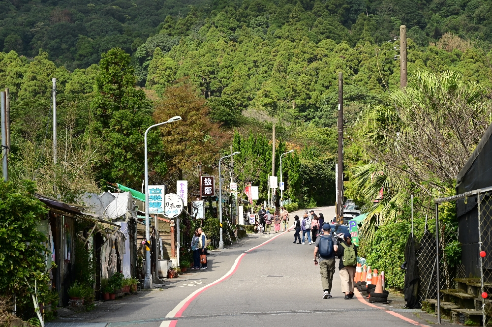 台北陽明山【擎天崗】新手也能輕鬆走的冷擎步道:沿途必拍景點、太陽谷大草原與水牛芒草一次收齊 - 第40張圖 台北陽明山【擎天崗】新手也能輕鬆走的冷擎步道:沿途必拍景點、太陽谷大草原與水牛芒草一次收齊